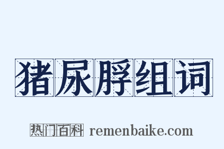 猪尿脬组词是什么意思的图片